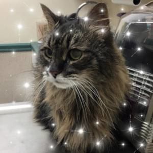 Meet your Posher, Shelly